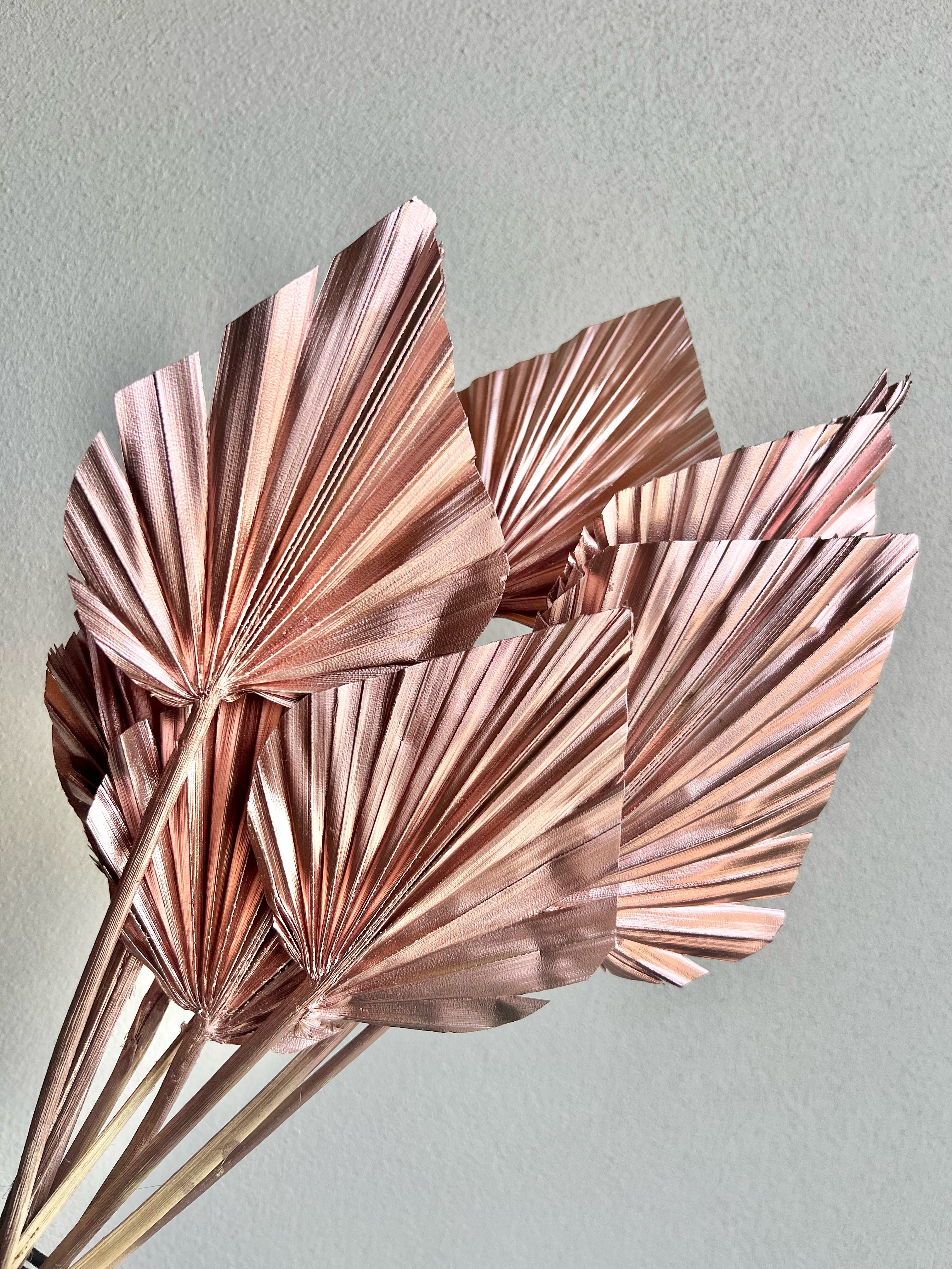 PALM SPEAR-METALLIC ROSE GOLD COLOUR
